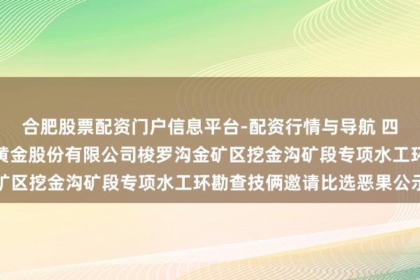 合肥股票配资门户信息平台-配资行情与导航 四川黄金招标恶果：四川黄金股份有限公司梭罗沟金矿区挖金沟矿段专项水工环勘查技俩邀请比选恶果公示