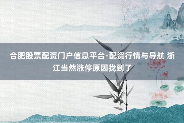 合肥股票配资门户信息平台-配资行情与导航 浙江当然涨停原因找到了