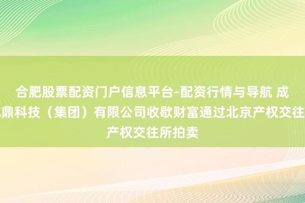 合肥股票配资门户信息平台-配资行情与导航 成王人九鼎科技（集团）有限公司收歇财富通过北京产权交往所拍卖