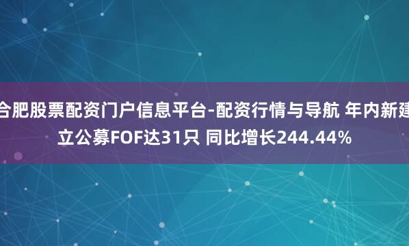合肥股票配资门户信息平台-配资行情与导航 年内新建立公募FOF达31只 同比增长244.44%